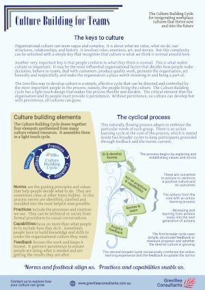 image and link to culture building for teams infographic